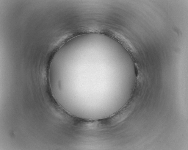 X0000115690306200911251818