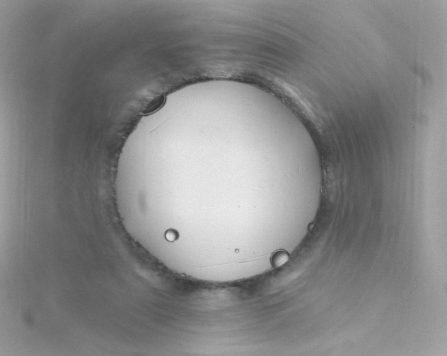 X0000115690307200911251818