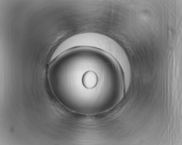 X0000115690308200911251818