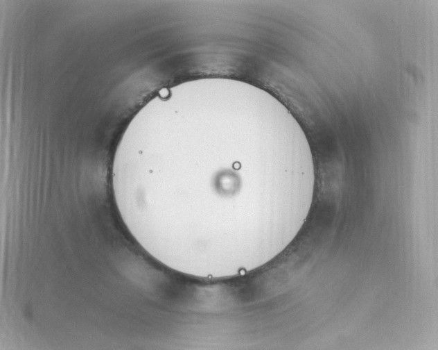 X0000115690309200911251818