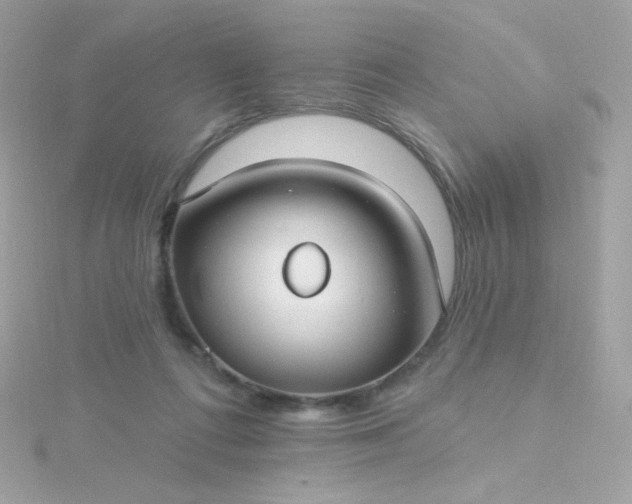 X0000115690312200911251818