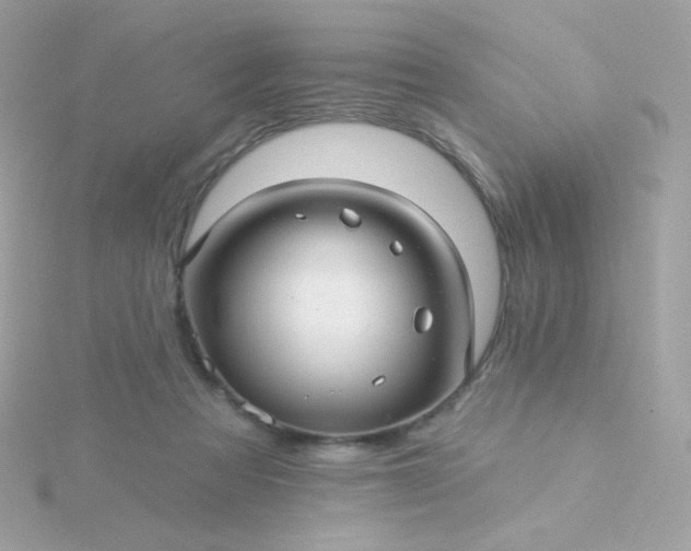 X0000115690313200911251818