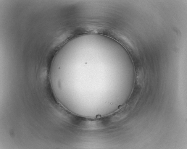 X0000115690314200911251818