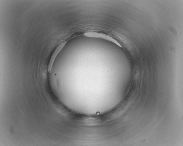 X0000115690315200911251818