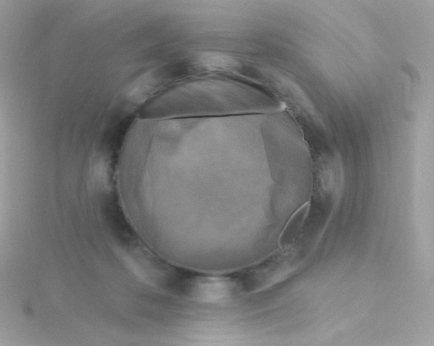 X0000115690316200911251818