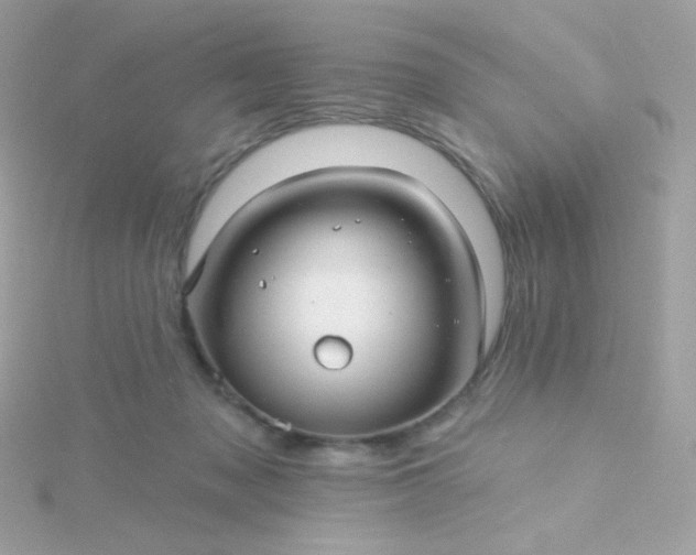 X0000115690317200911251818