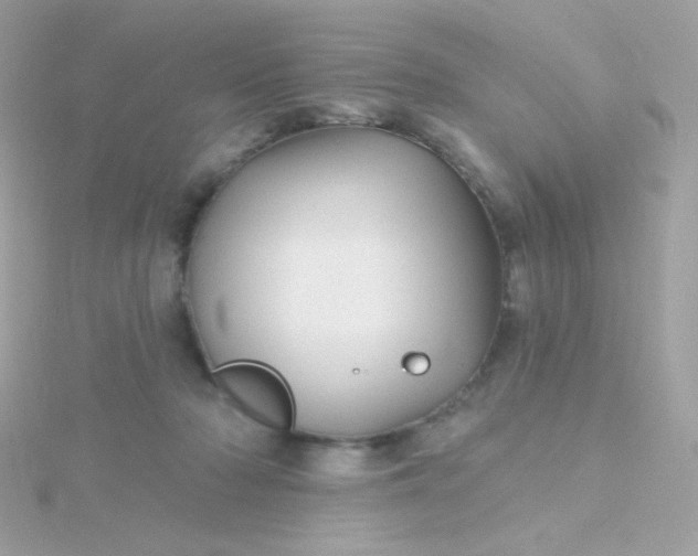 X0000115690318200911251818