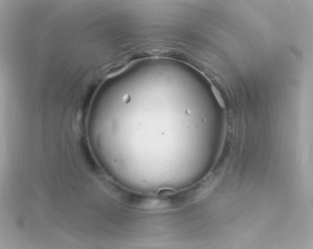 X0000115690319200911251818