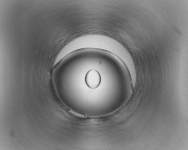 X0000115690320200911251818