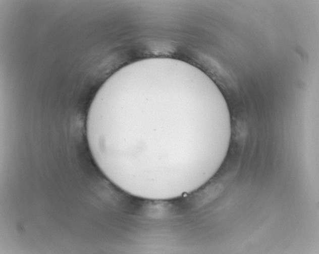 X0000115690321200911251818