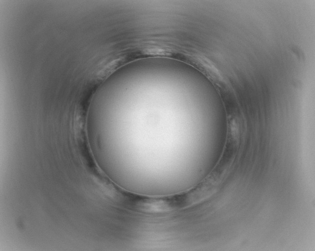 X0000115690322200911251818