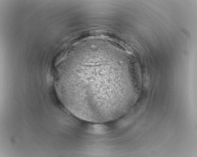 X0000115690324200911251818