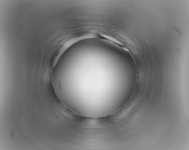 X0000115690325200911251818