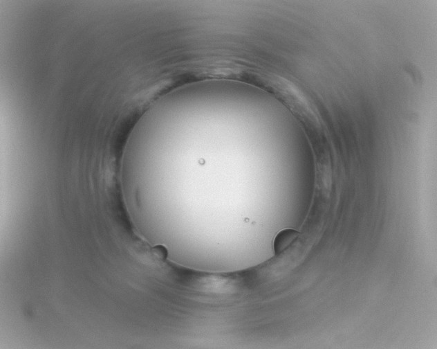 X0000115690326200911251818