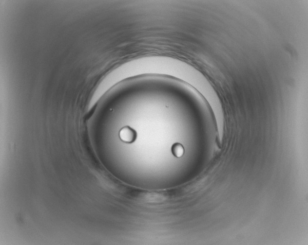 X0000115690327200911251818