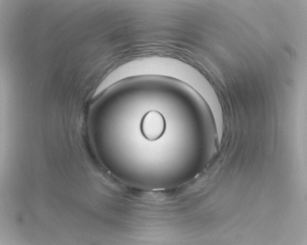 X0000115690328200911251818