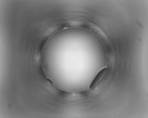 X0000115690329200911251818