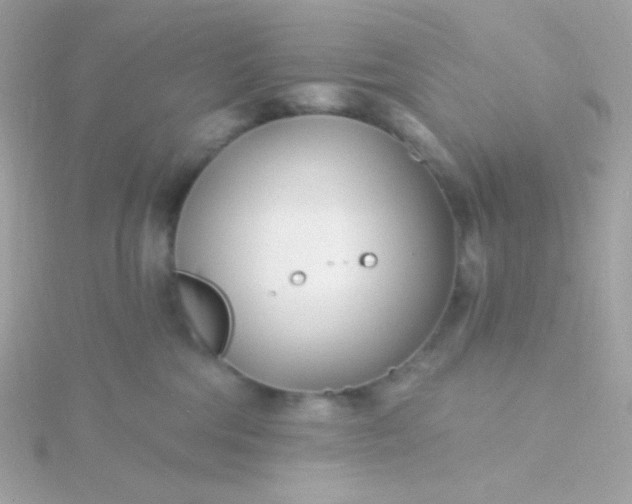 X0000115690330200911251818