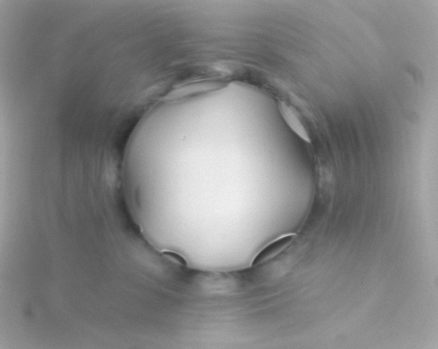 X0000115690331200911251818