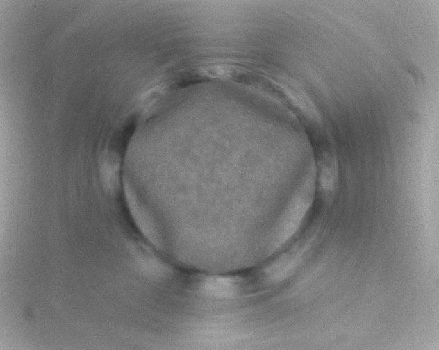 X0000115690332200911251818