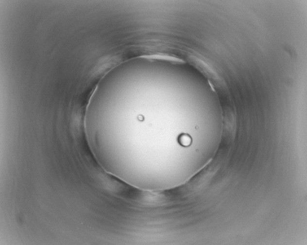 X0000115690333200911251818