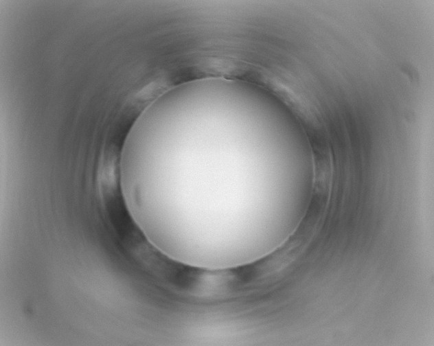 X0000115690334200911251818