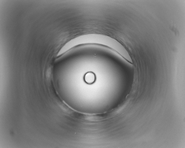 X0000115690336200911251818