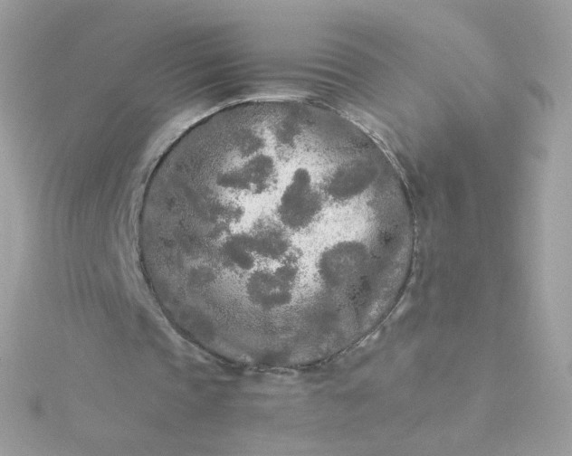 X0000115690337200911251817