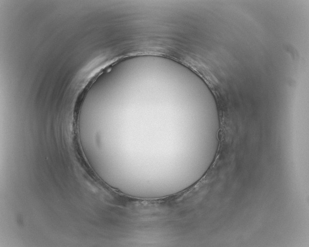 X0000115690338200911251817