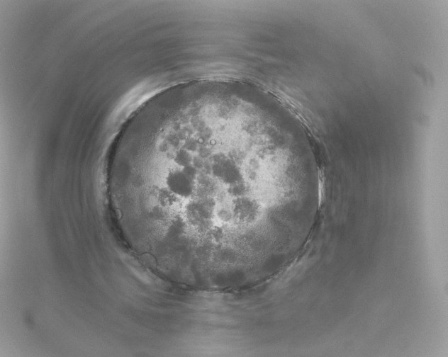 X0000115690339200911251817