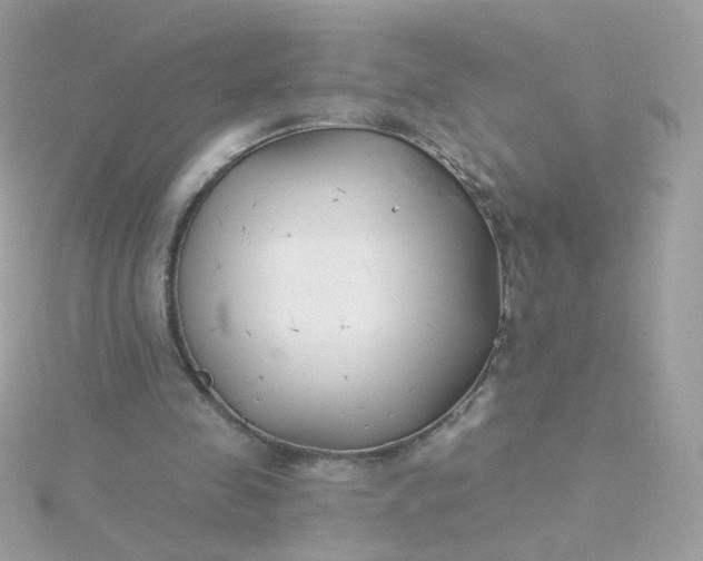 X0000115690341200911251817