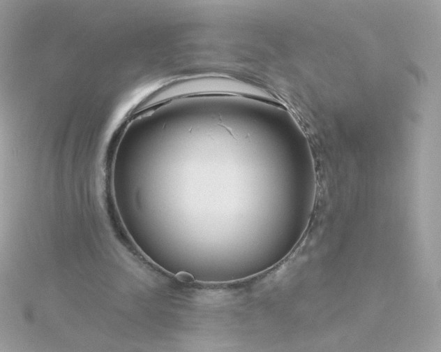 X0000115690342200911251817