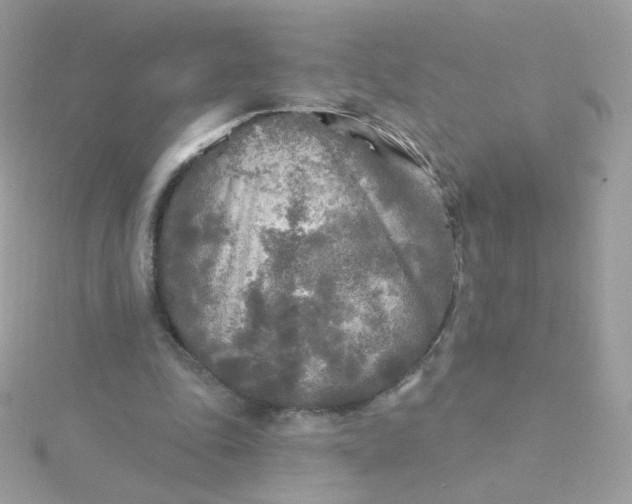 X0000115690343200911251817