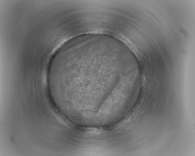 X0000115690347200911251817