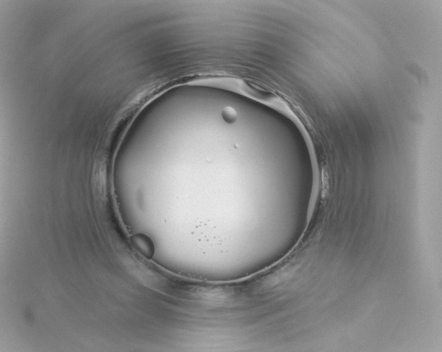 X0000115690349200911251818