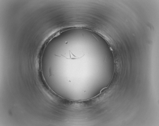 X0000115690350200911251818