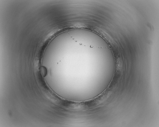 X0000115690351200911251818