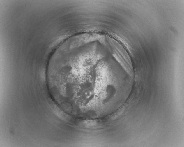 X0000115690353200911251818