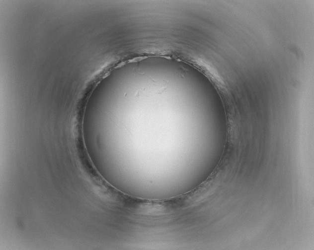 X0000115690354200911251818