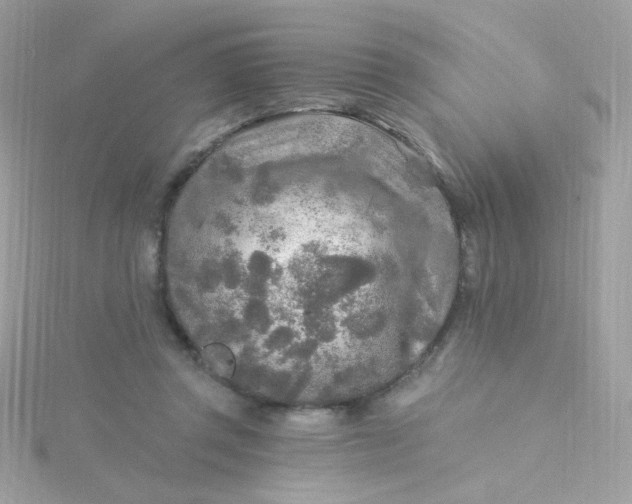 X0000115690357200911251818