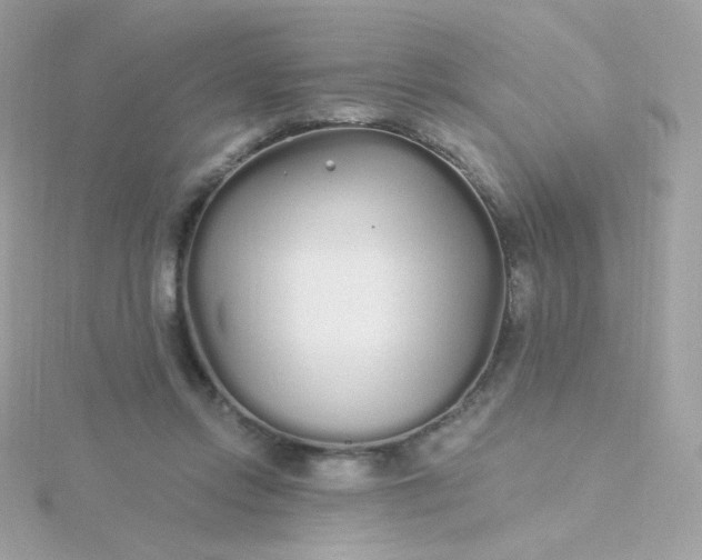 X0000115690358200911251818