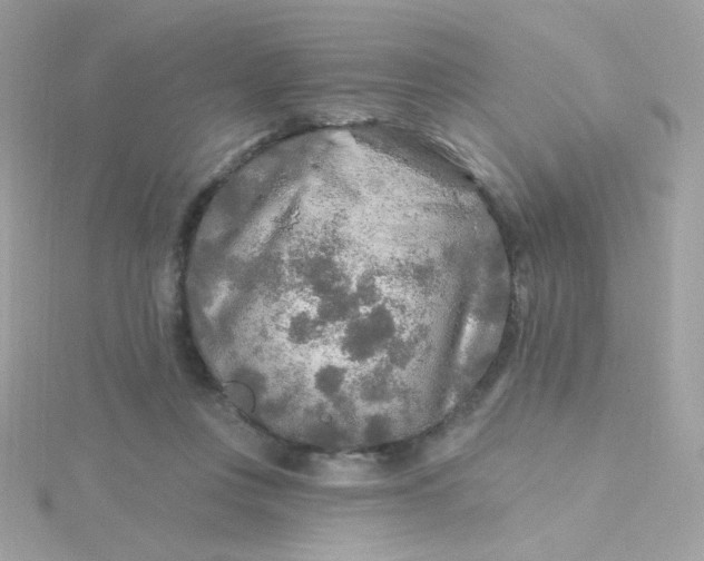 X0000115690359200911251818