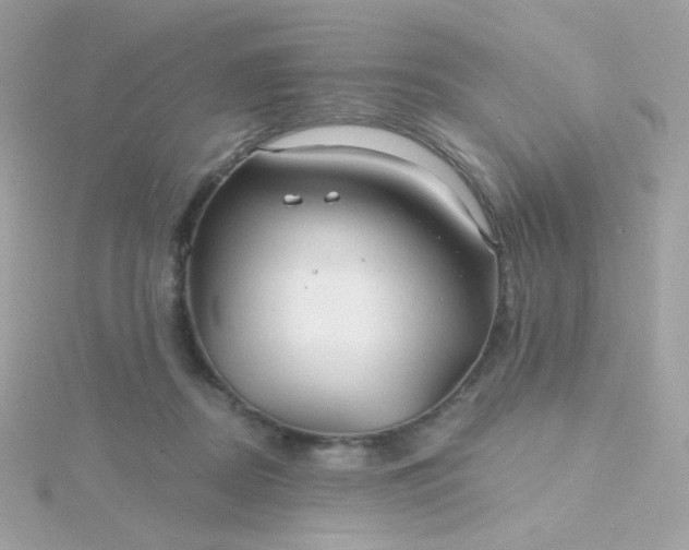 X0000115690362200911251818