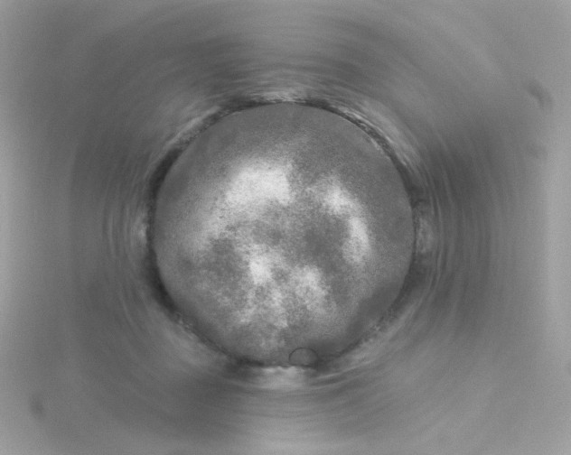 X0000115690363200911251818