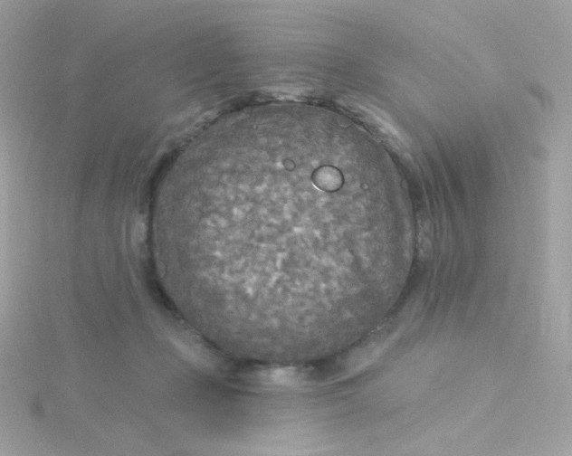 X0000115690365200911251818