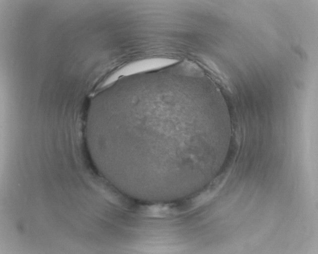 X0000115690366200911251818