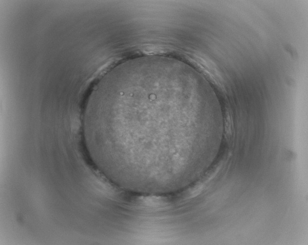 X0000115690367200911251818