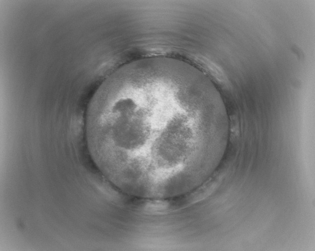 X0000115690369200911251818