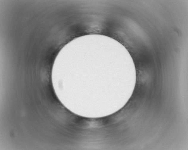 X0000115690370200911251818