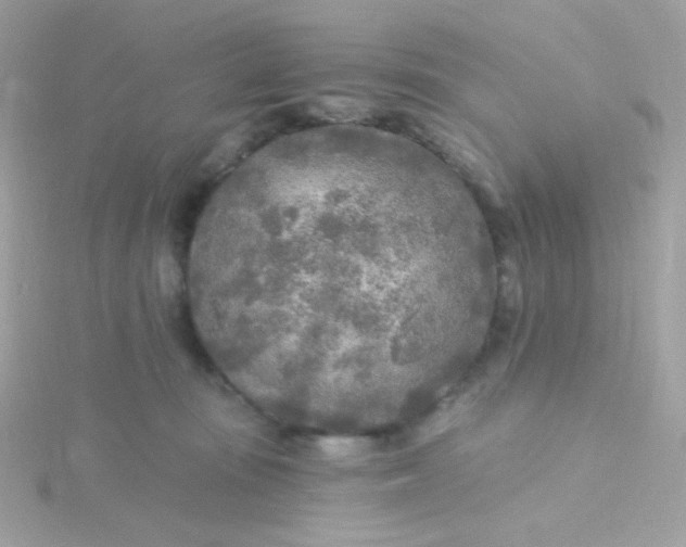 X0000115690371200911251818